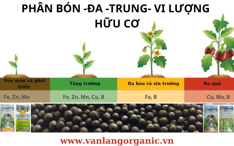 PHÂN BÓN TRUNG VI LƯỢNG HỮU CƠ LONG BÌNH